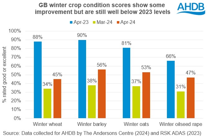 Chart showing GB winter crop condition scores are improved from March 2024 but well below April 2023